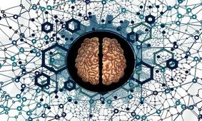 تأثیر سن نیمکره چپ و راست مغز بر بیماری آلزایمر