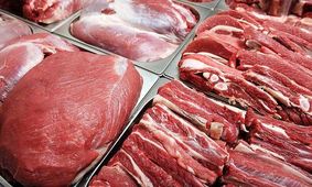 گوشت چرا و چطوری گرون شد؟/ کاریکاتور