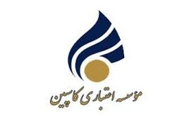 ۷۷ شعبه موسسه اعتباری کاسپین فعال است