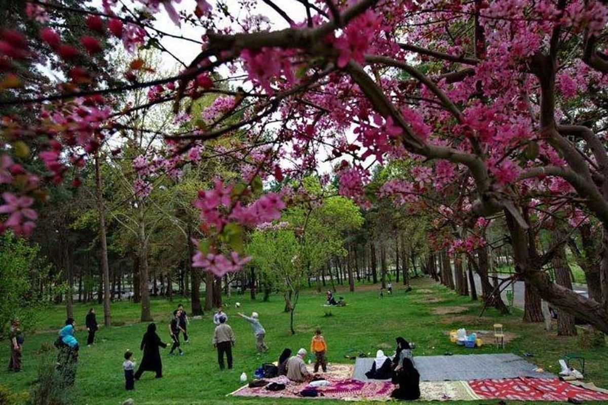 ۸ نفر در روز طبیعت قربانی شدند