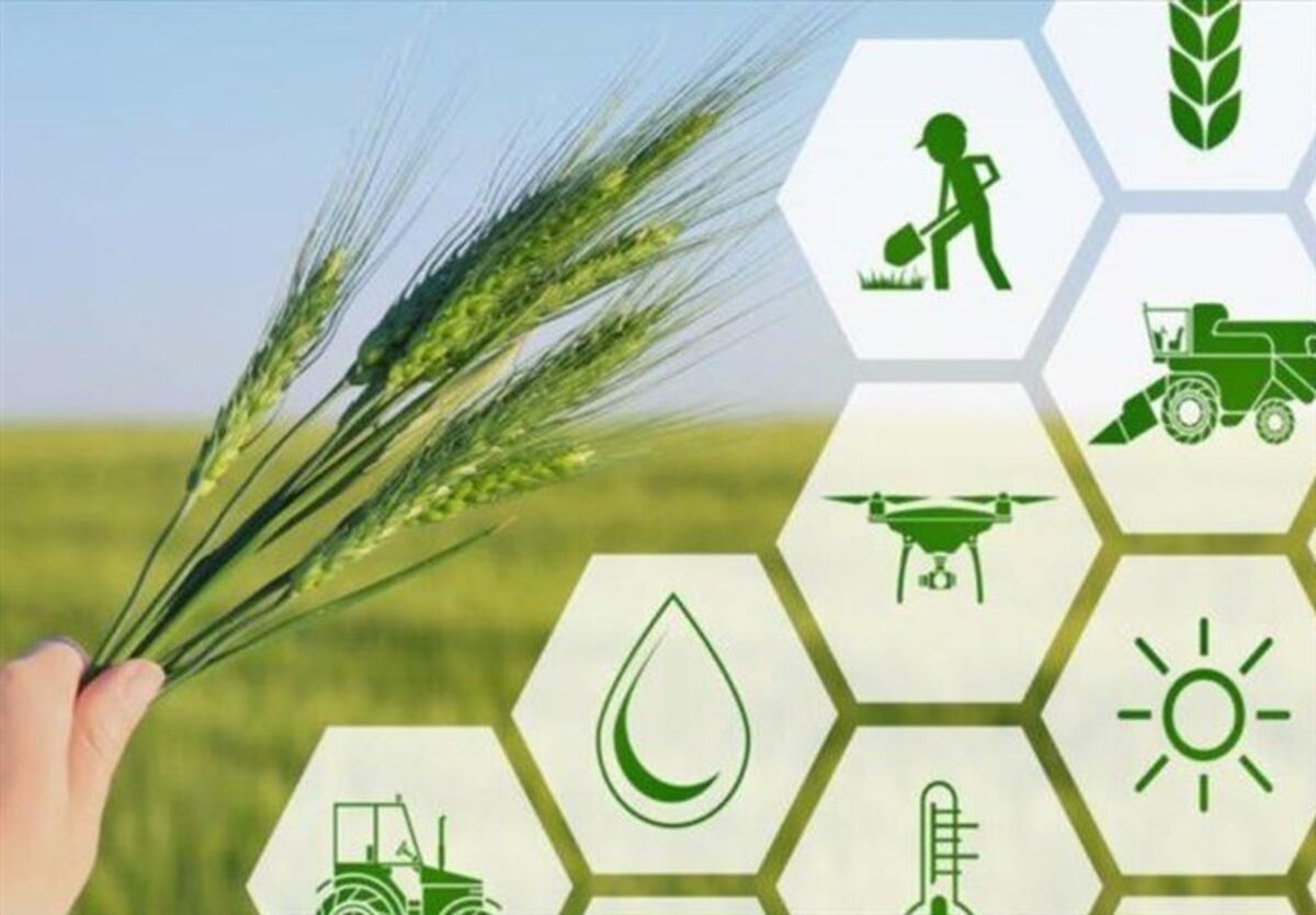 کشاورزی توان برطرف کردن مشکلات اشتغال آذربایجان شرقی را دارد
