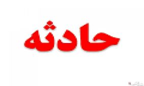 سارقی که بین نرده‌ها به دام افتاد