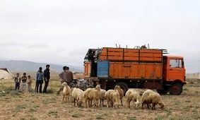 افزایش کوچ ماشینی عشایر/ کوچ زمینی باید احیاء شود