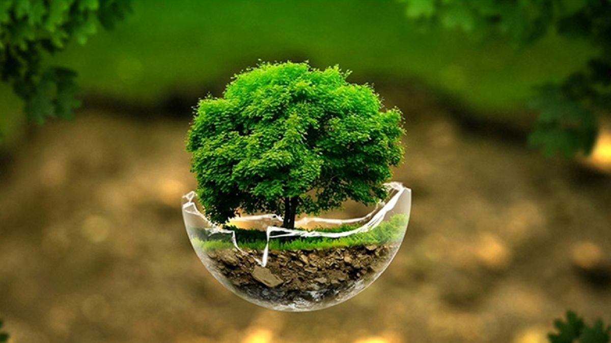 زمین سیاره‌ای که طبیعت آن رو به فراموشی است