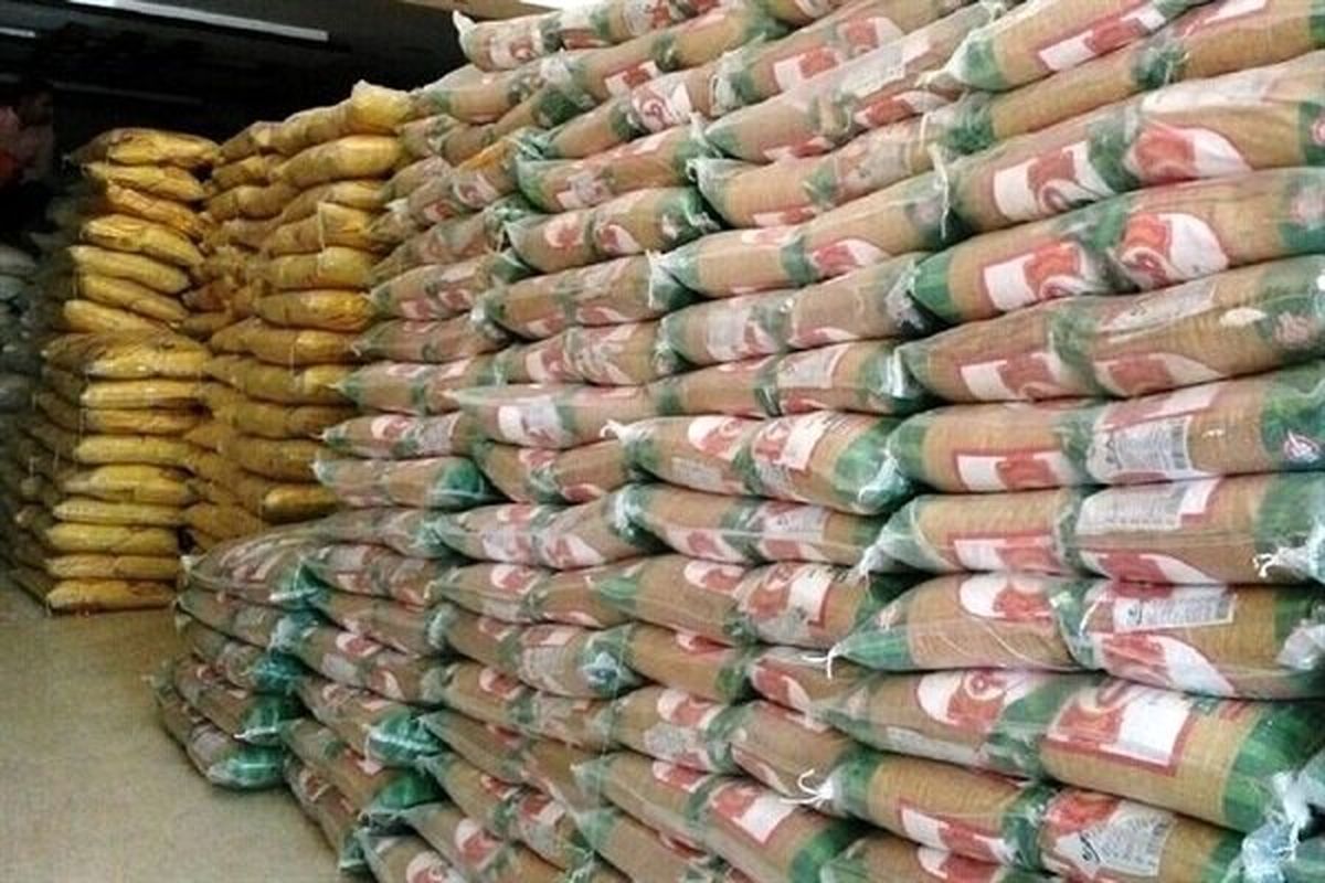 ۱۲۰۰ تن برنج هندی تنظیم بازار در استان بوشهر توزیع شد