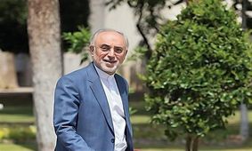 علی اکبر صالحی: فعلاً تصمیم قطعی برای کاندیداتوری نگرفته‌ام