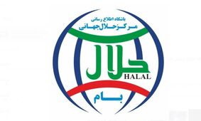 گردش مالی بیش از ۴ هزار میلیارد دلاری صنعت حلال در دنیا