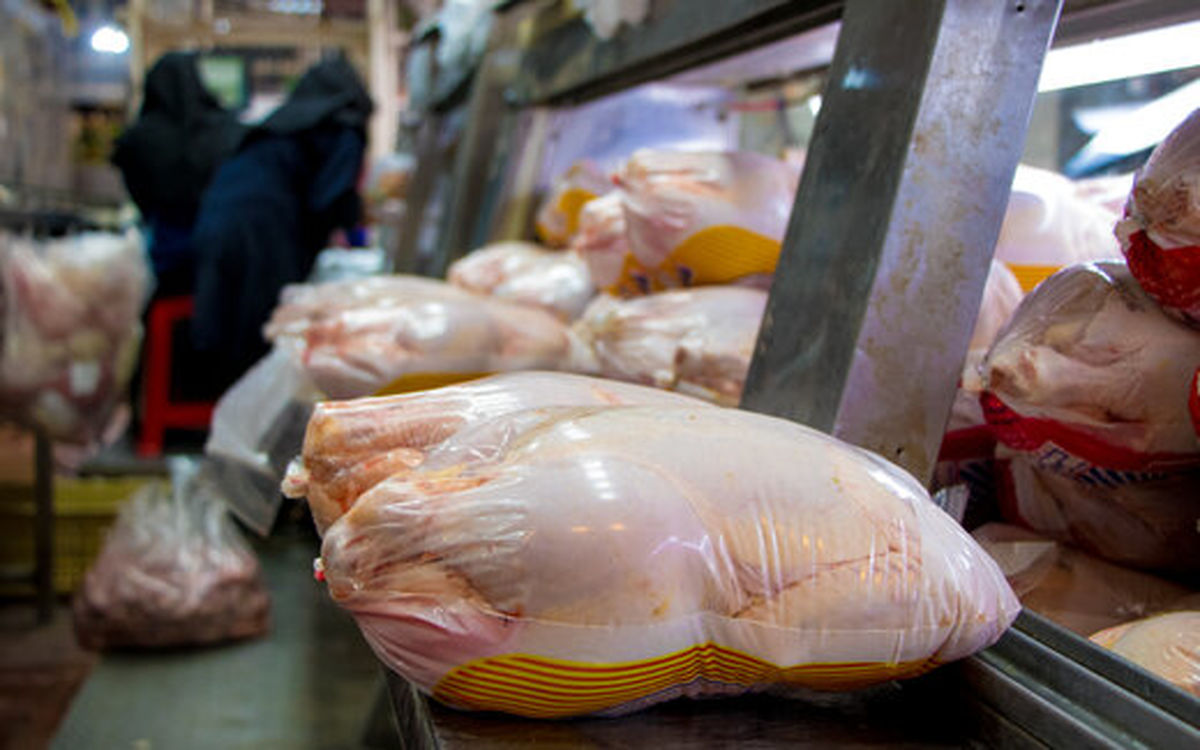 چرا مرغ گران شد؟