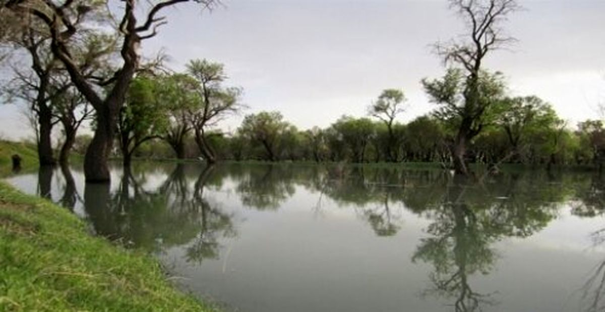 باغی که بهتر است در شب از آن دیدن نکنید / عکس