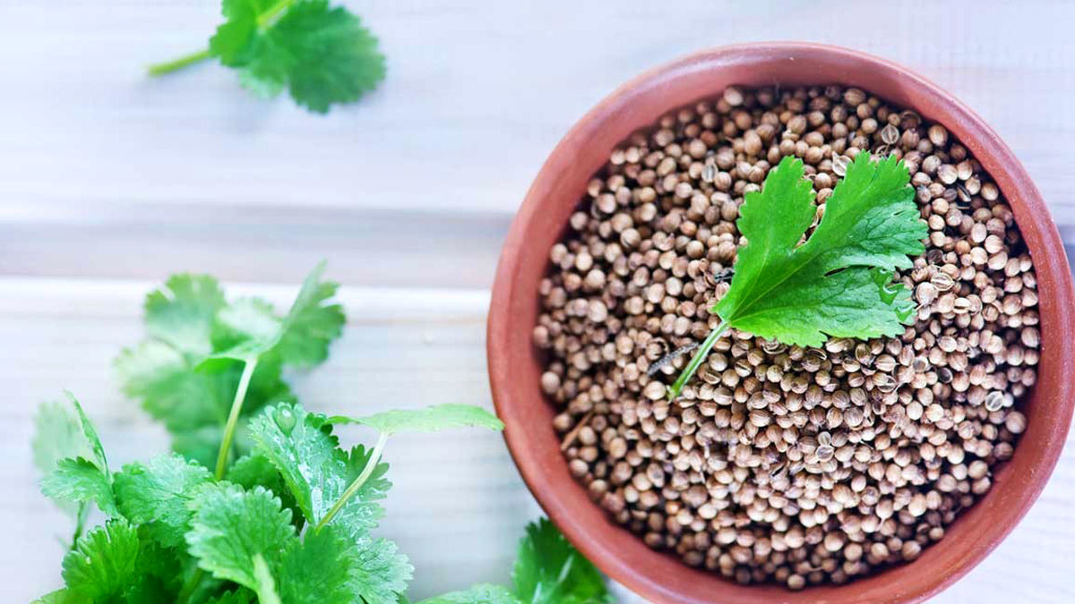 تاثیر تخم گشنیز بر کاهش عوارض قلبی دیابت نوع 2