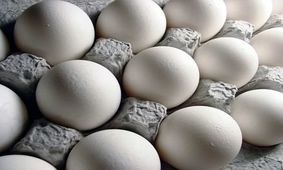 صادرات تخم مرغ ممنوع نیست + آمار