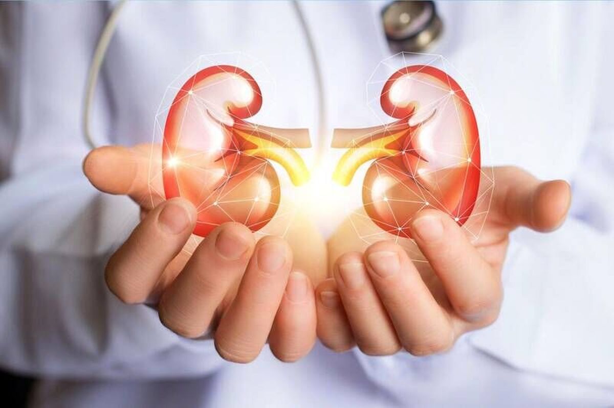 ۱۰ ماده غذایی گیاهی برای بهبود سلامت کلیه ها