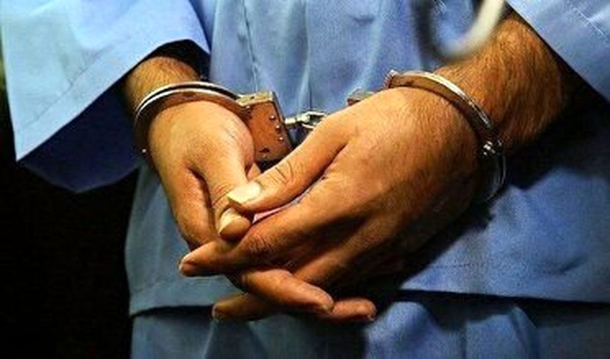 دستگیری ۱۲ نفر از اراذل و اوباش سابقه دار در تبریز
