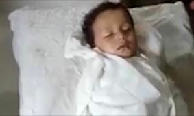 حمله مرگبار گوسفند شاخدار به کودک/ ویدئو