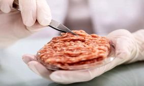 شرکت مشهور صنایع غذایی در جستجوی تولید گوشتی متفاوت!