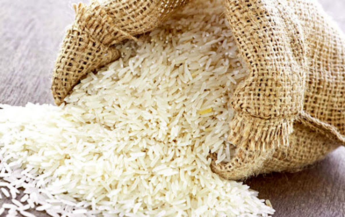 آخرین قیمت برنج ایرانی و خارجی/ افزایش قیمت ادامه دارد