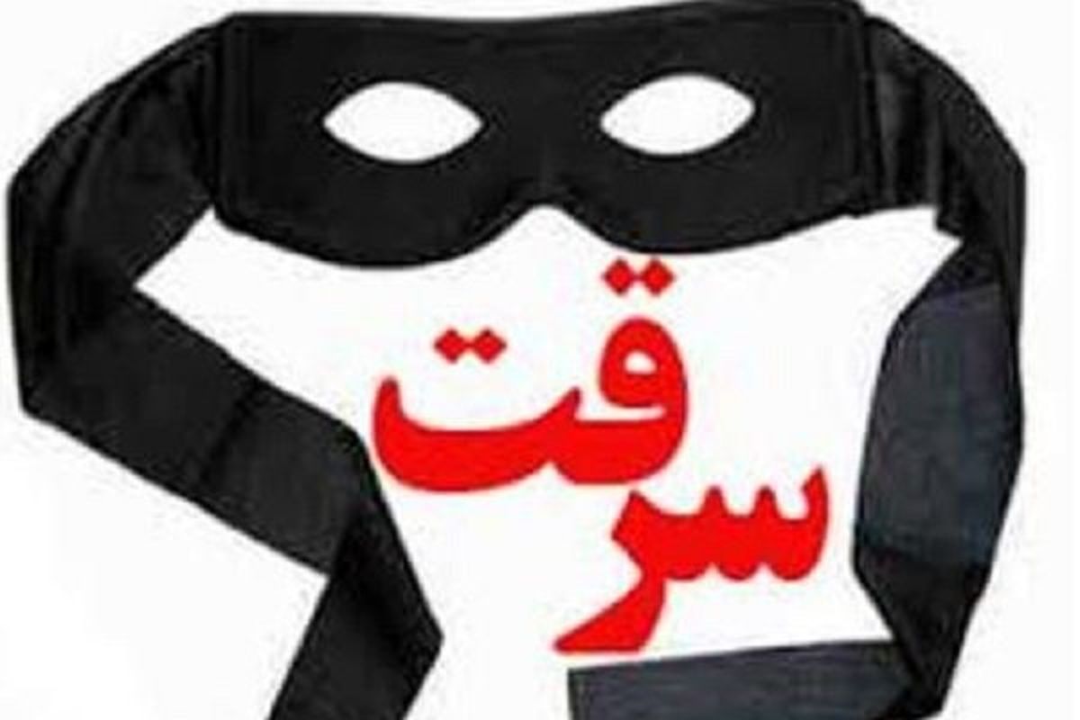 تبهکار سابقه دار تا یک قدمی مرگ تلاش کرد تا دستگیر نشود + عکس