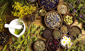 آشنایی با گیاهان دارویی مفید برای دستگاه تنفسی