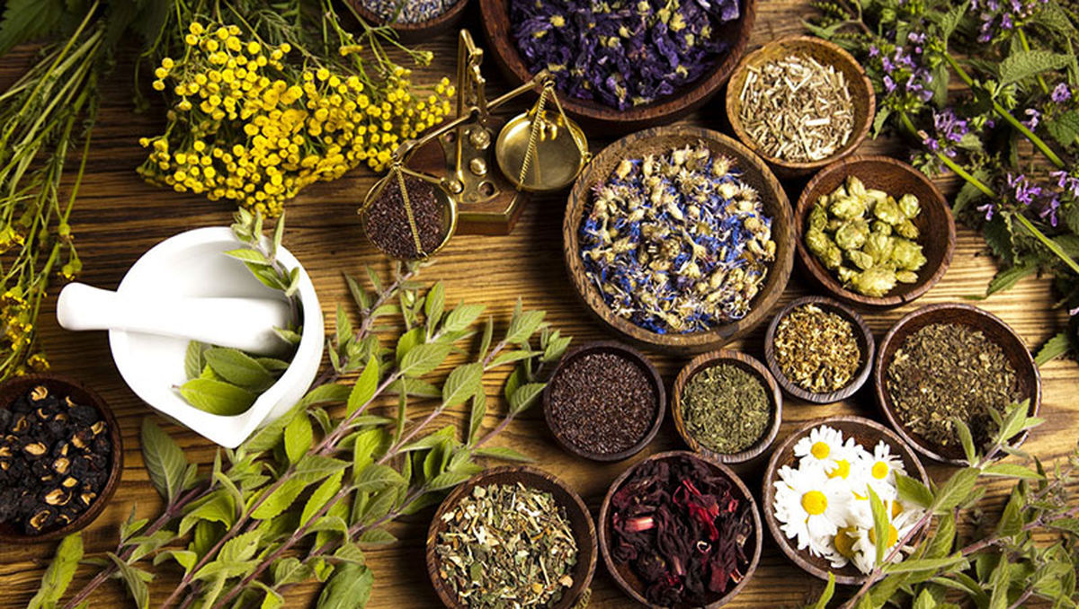 آشنایی با گیاهان دارویی مفید برای دستگاه تنفسی
