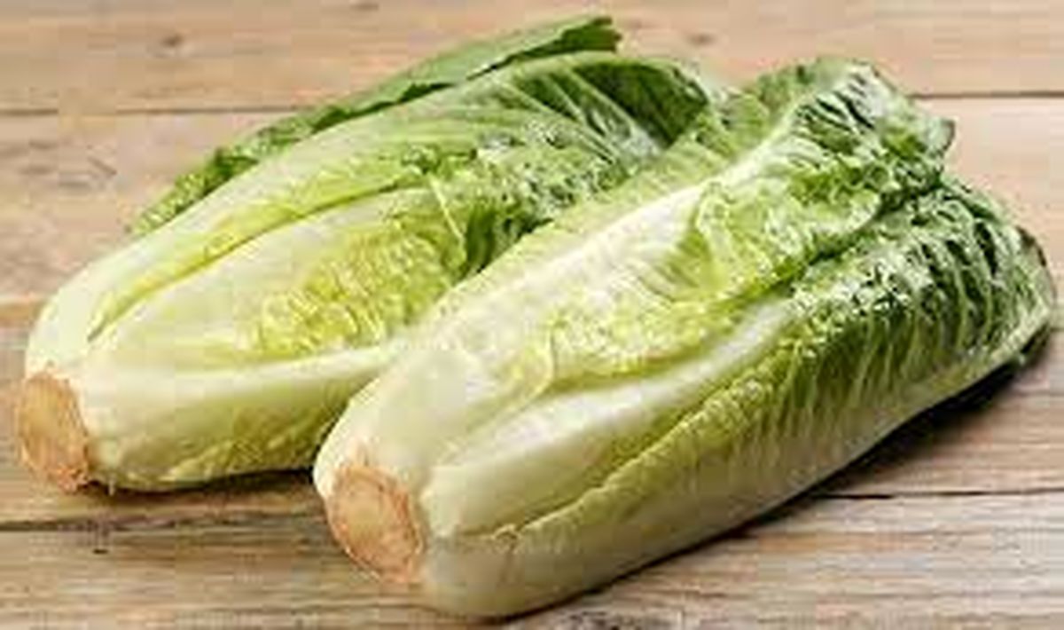 چگونه تلخی کاهو را از بین ببریم