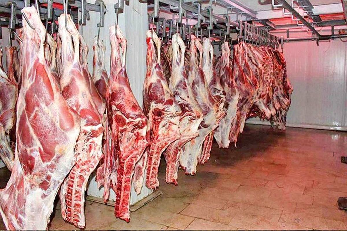 وزارت جهاد کشاورزی برای کنترل بازار گوشت برنامه دارد؟ / احتمال افزایش بیش از پیش قیمت گوشت قرمز در بازار