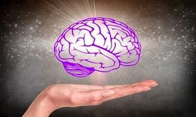 با کارکرد حیرت‌انگیز مغز آشنا شوید/ ویدئو