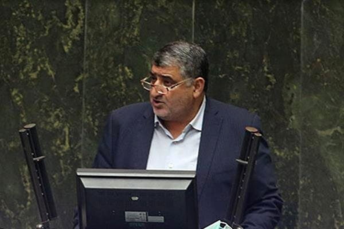 دلخوش: مجلس طرح شفافیت آرا را تصویب نمی کند