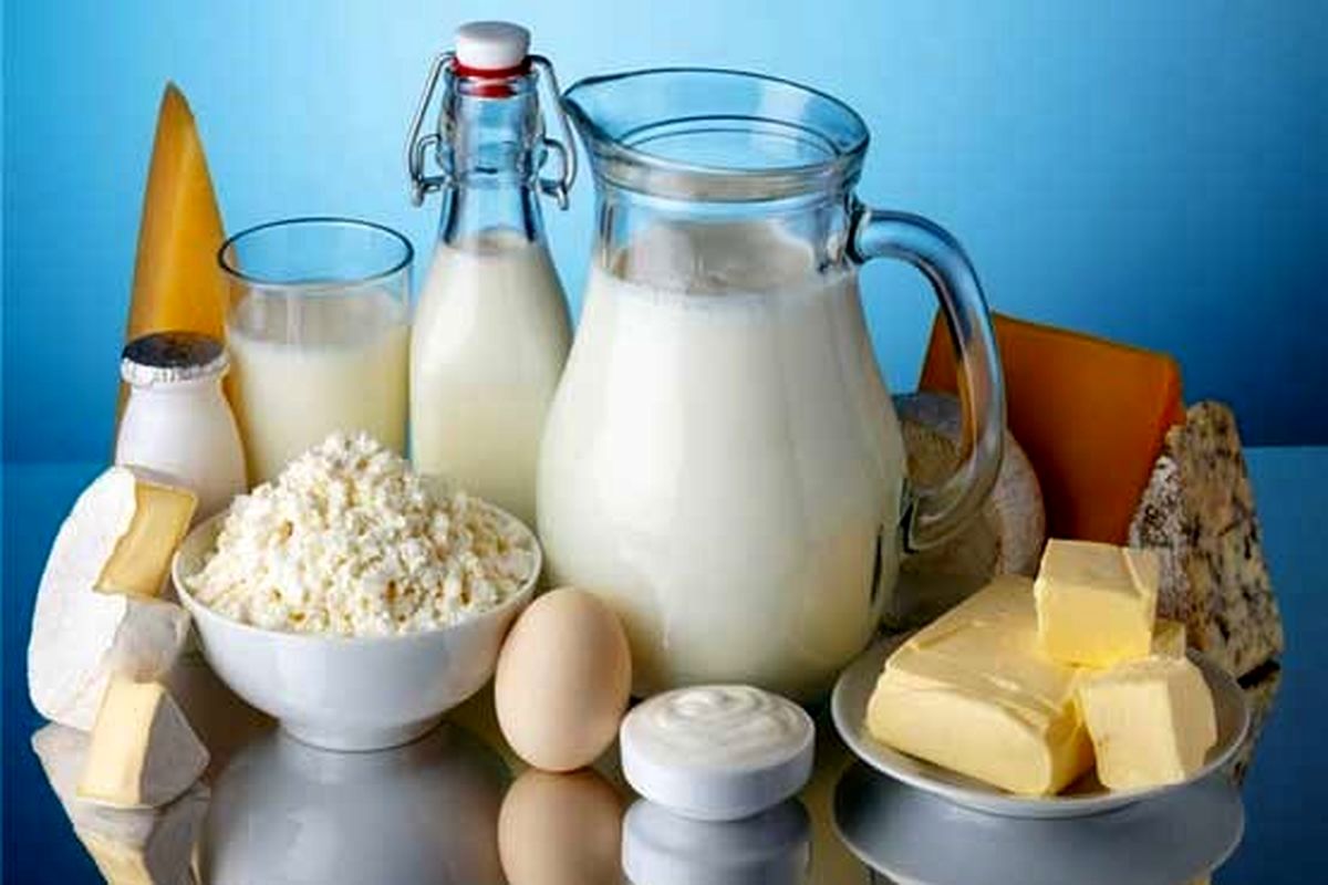 شهروندان فردا منتظر کاهش قیمت لبنیات نباشند/ ویدئو