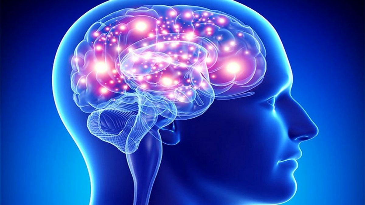 مغز ما چگونه می‌اندیشد؟