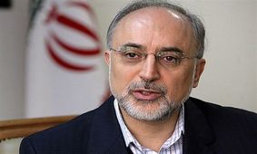 صالحی: آمریکا می خواهد برجام را با هزینه ایران عقیم کند