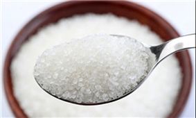 بازار شکر وضعیت نامناسبی دارد/ خرید 8 میلیون و 900 هزار تن گندم از کشاورزان/ پیش‌بینی تولید 7 میلیون تن چغندر