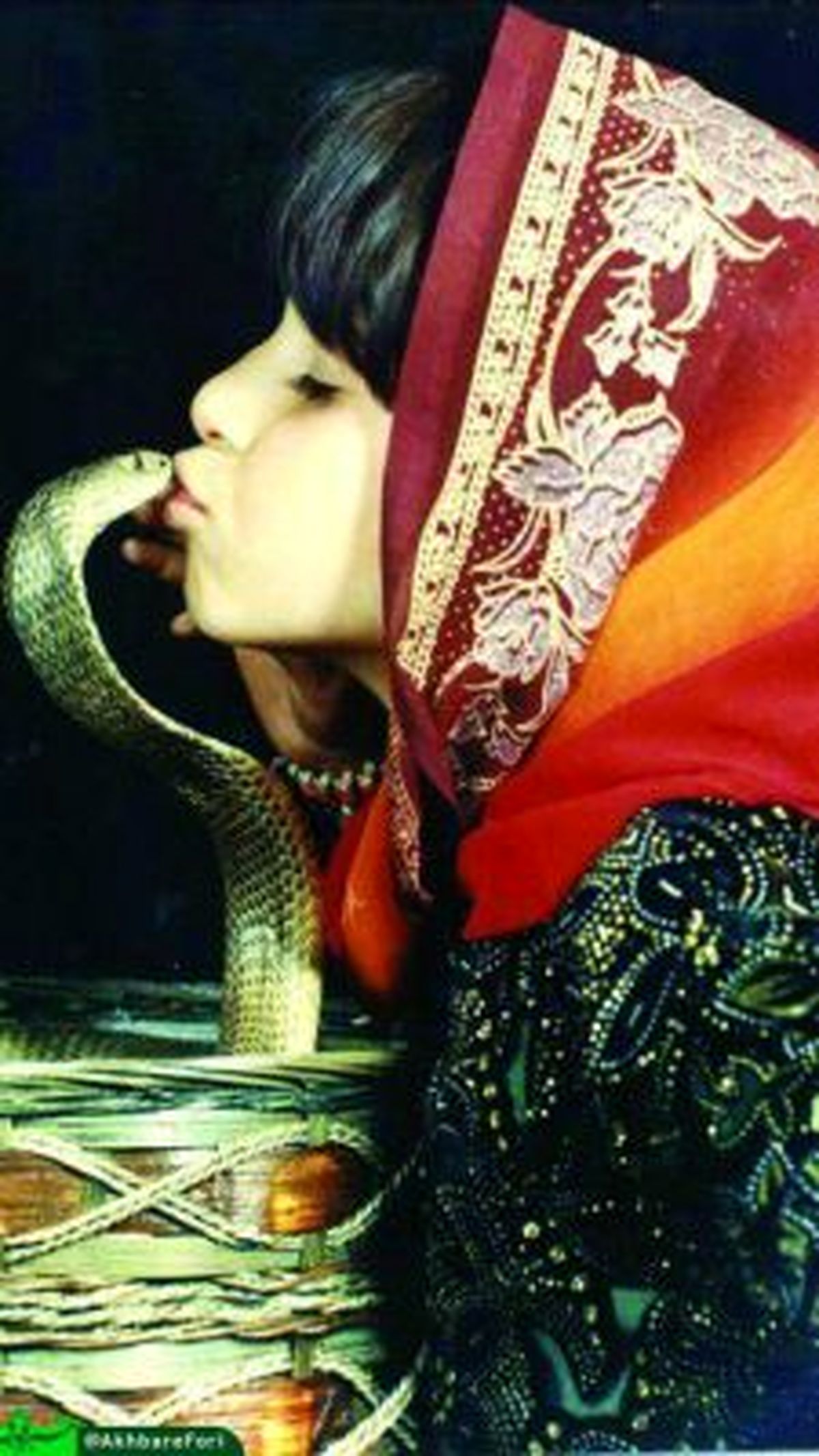 دختری که ۱۱ بار زبان مار کبرا را بوسیده + عکس