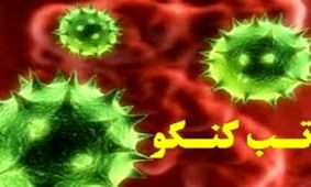 تب کریمه کنگو در کمین کردستانی‌ها