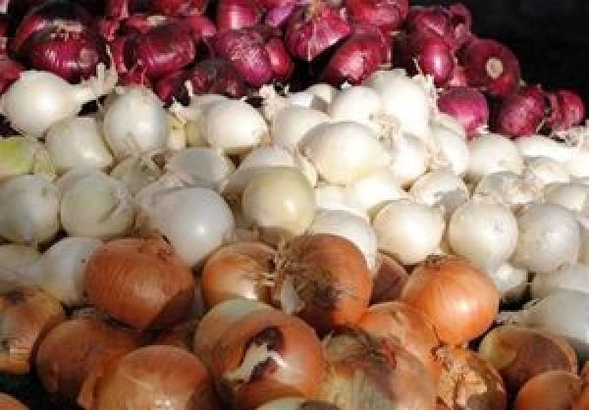 مقایسه قیمت کالاهای اساسی نسبت به سال گذشته