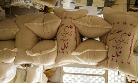 برنج ارزان شد