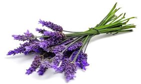 تاثیر روغن اسطوخودوس روی سلامت موها