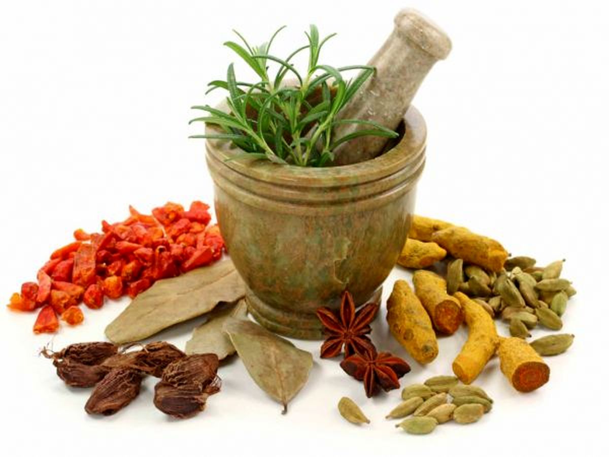 گیاهان دارویی ،ذخایر شفابخش ایران