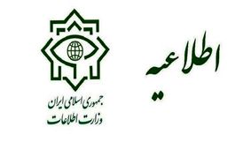 پاسخ وزارت اطلاعات به ادعای برخی نمایندگان: مدیر دوتابعیتی نداریم