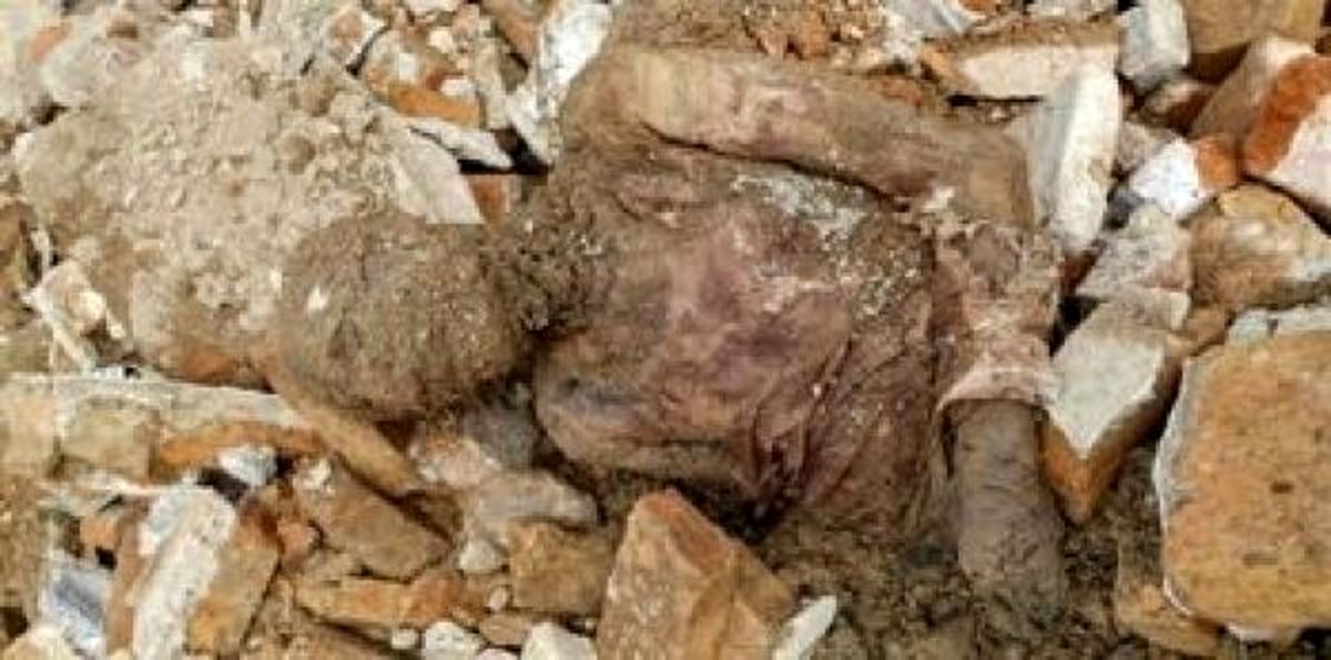 ضدونقيض‌هاي كشف جسد موميايي رضاشاه