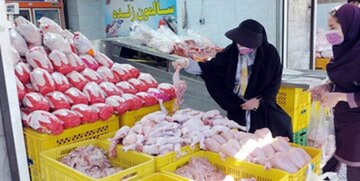 عصیان مرغ؛ مرغ به کیلویی ۱۰۰ هزارتومان رسید