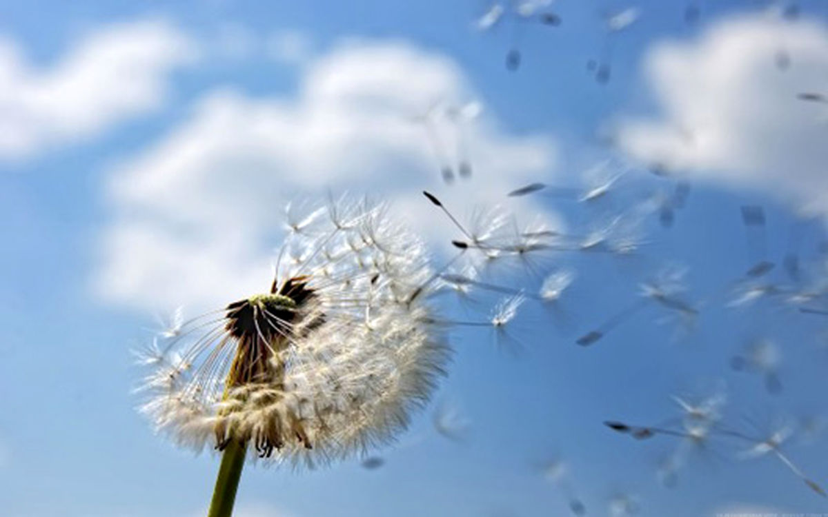 مهارت کنترل لذت جویی در زندگی