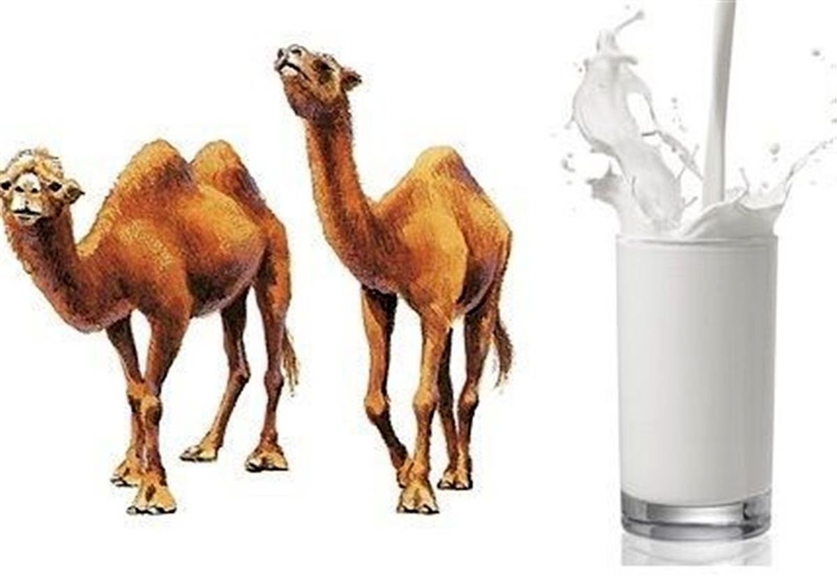 مصرف چه نوع "شیری" باعث زیاد شدن عقل کودکان مى‌‌شود