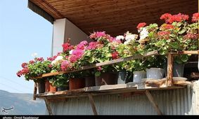 "شاهراج" روستایی در اشکورات گیلان به روایت تصویر
