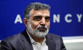 نیروگاه بوشهر کاهش بهره‌وری ندارد/صادرات رادیو داروها به اروپا