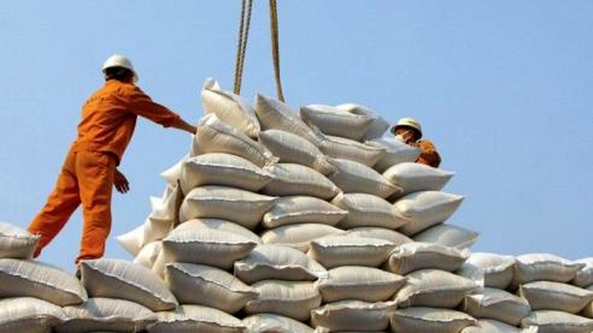 انتقاد یک نماینده مجلس از واردات بی رویه برنج