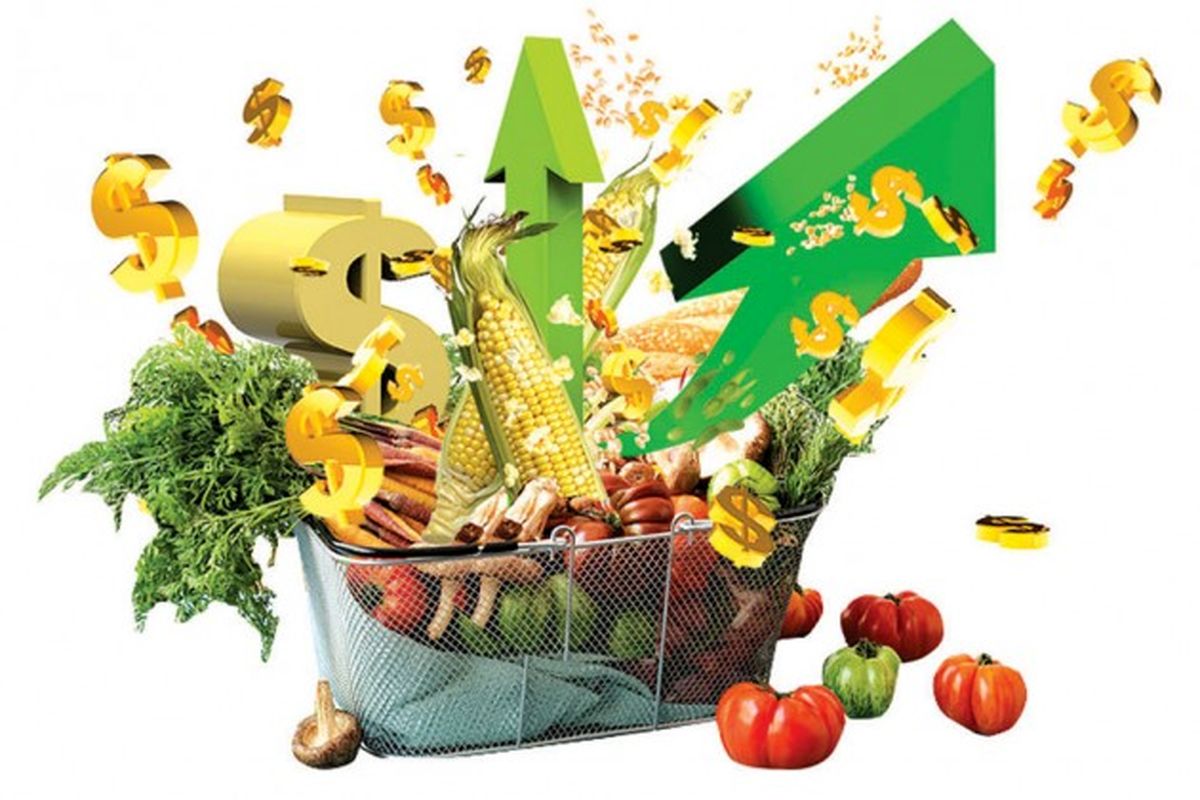 جدیدترین قیمت نهاده های دامی و کشاورزی + جدول