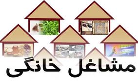 ۲ عضو مجلس در ستاد ساماندهی مشاغل خانگی انتخاب شدند