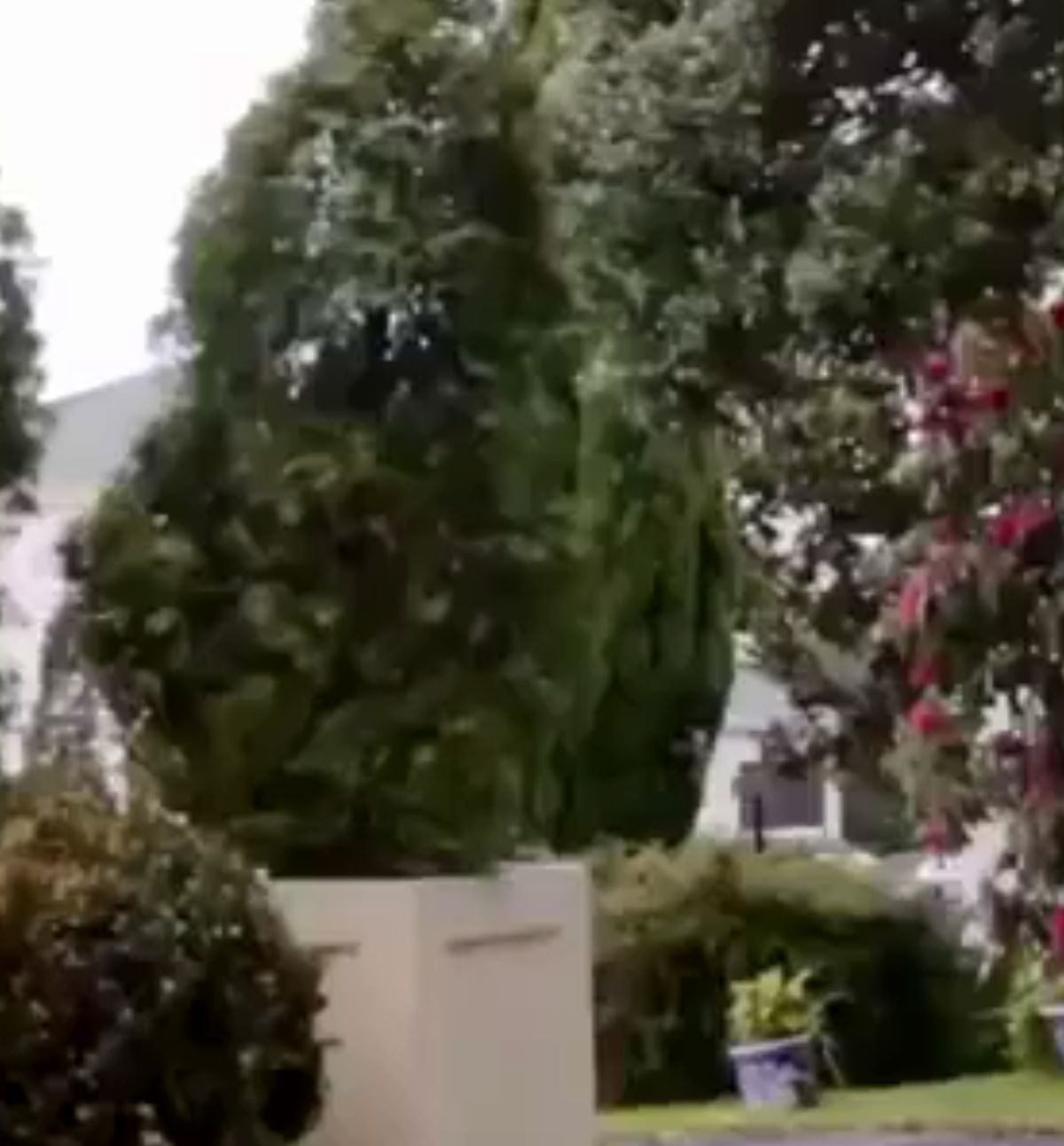 دوربین مخفی فوق العاده جالب