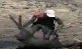 نجات شاجاعانه آهو از مرداب
