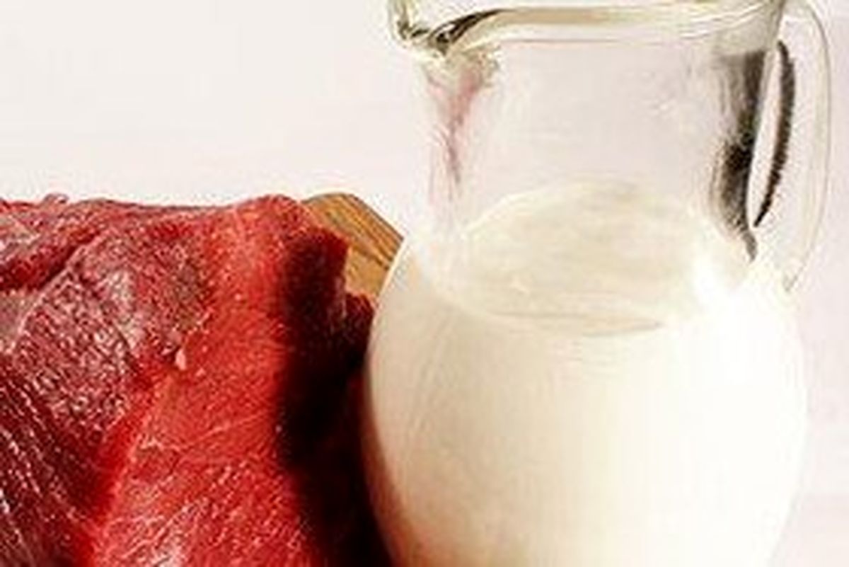 افزایش تولید گوشت قرمز و شیر در خوزستان